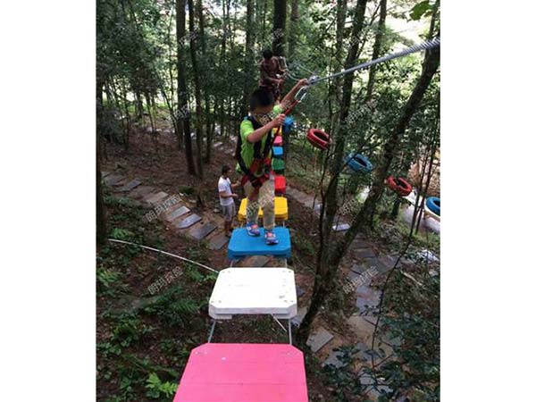 树上探险-山添虎步