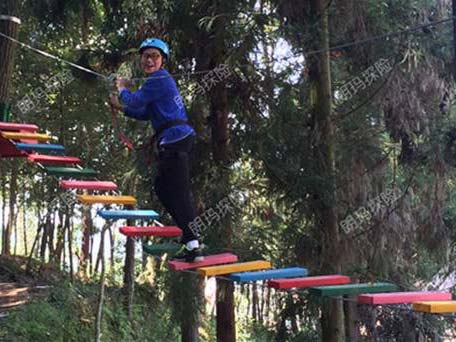 树上探险-缅甸桥